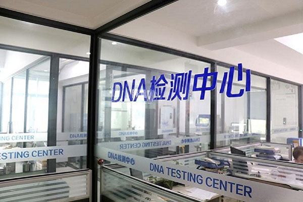 邯郸全国统一采血DNA入库（一探全国DNA数据库的建设和运行机制） 